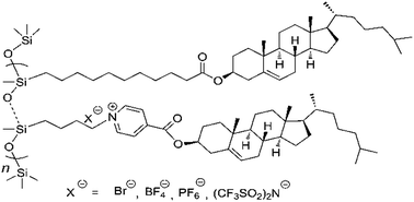 Graphical abstract: Synthesis and characterization of liquid-crystalline ionomers with pendant cholesteryl pyridinium salt mesogens