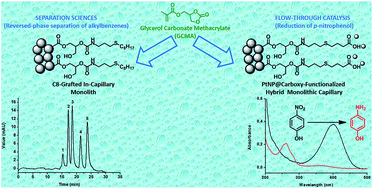 Graphical abstract: Novel in-capillary polymeric monoliths arising from glycerol carbonate methacrylate for flow-through catalytic and chromatographic applications