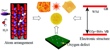 Graphical abstract: Insight into the origin of photoreactivity of various well-defined Bi2WO6 crystals: exposed heterojunction-like surface and oxygen defects