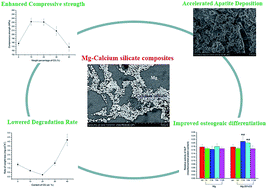 Graphical abstract: Substantial enhancement of corrosion resistance and bioactivity of magnesium by incorporating calcium silicate particles