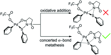 Graphical abstract: DFT studies on the mechanism of palladium catalyzed arylthiolation of unactive arene to diaryl sulfide