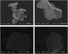 Graphical abstract: A label-free fluorescent probe for Hg2+ based on boron- and nitrogen-doped photoluminescent WS2