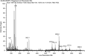 Graphical abstract: Theoretical and experimental investigations on stability and chemistry of organoiridium(iii) complexes