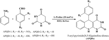 Graphical abstract: 5-Arylpyrimido-[4,5-b]quinoline-diones as new and sustainable corrosion inhibitors for mild steel in 1 M HCl: a combined experimental and theoretical approach