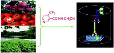 Graphical abstract: A new residue method for the determination of flonicamid in agricultural and environmental samples using enzyme immunoassay systems