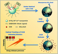 Graphical abstract: Core–shell SrTiO3:Yb3+,Er3+@mSiO2 nanoparticles for controlled and monitored doxorubicin delivery