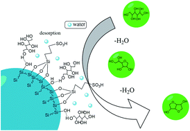 Graphical abstract: Hydrophilic sulfonic acid-functionalized micro-bead silica for dehydration of sorbitol to isosorbide