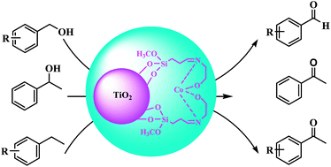 Graphical abstract: A cobalt Schiff base complex on TiO2 nanoparticles as an effective synergistic nanocatalyst for aerobic C–H oxidation
