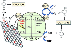 Graphical abstract: Visible light responsive mesoporous graphene–Eu2O3/TiO2 nanocomposites for the efficient photocatalytic degradation of 4-chlorophenol