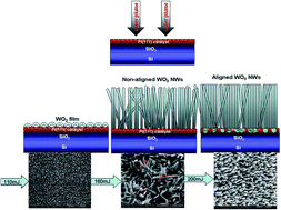 Graphical abstract: Pulsed laser assisted growth of aligned nanowires of WO3: role of interface with substrate