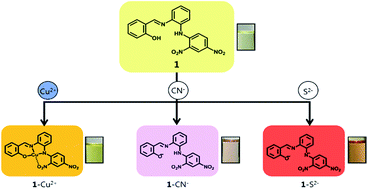 Graphical abstract: Colorimetric chemosensor for multiple targets, Cu2+, CN− and S2−