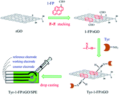 Graphical abstract: An electrochemical biosensing platform based on 1-formylpyrene functionalized reduced graphene oxide for sensitive determination of phenol