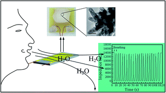 Graphical abstract: Ultrafast breathing humidity sensing properties of low-dimensional Fe-doped SnO2 flower-like spheres