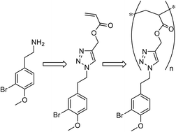 Graphical abstract: RAFT polymerization of bromotyramine-based 4-acryloyl-1,2,3-triazole: a functional monomer and polymer family through click chemistry