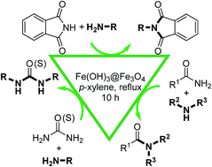 Graphical abstract: Transamidation of primary carboxamides, phthalimide, urea and thiourea with amines using Fe(OH)3@Fe3O4 magnetic nanoparticles as an efficient recyclable catalyst