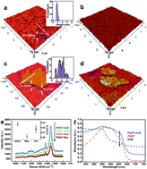 Graphical abstract: Charges on nano-islands and fibrils of poly(3-hexylthiophene-2,5-diyl) – light-modulation, injection and transportation