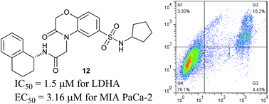 Graphical abstract: Discovery of a novel human lactate dehydrogenase A (LDHA) inhibitor as an anti-proliferation agent against MIA PaCa-2 pancreatic cancer cells