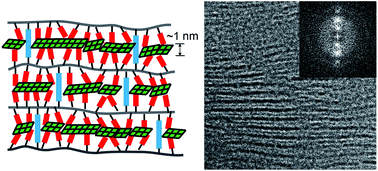 Graphical abstract: Smectic liquid crystal polymers as a template for ultrathin CaCO3 nanolayers