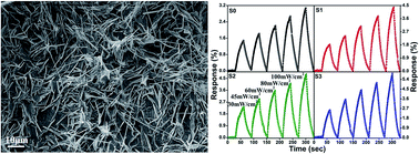 Graphical abstract: Easy synthesis of organic–inorganic hybrid nanomaterials: study of DC conduction mechanism for light dependent resistors