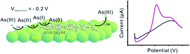 Graphical abstract: Shape dependent stripping behavior of Au nanoparticles toward arsenic detection: evidence of enhanced sensitivity on the Au (111) facet