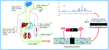 Graphical abstract: Evaluation of in-tube solid-phase microextraction method for co-extraction of acidic, basic, and neutral drugs