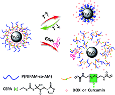 Graphical abstract: A copolymer capsule with a magnetic core for hydrophilic or hydrophobic drug delivery via thermo-responsive stimuli or carrier biodegradation