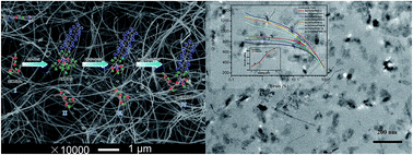 Graphical abstract: The m-SiCNW/FKM nanocomposites: fabrication, characterization and properties