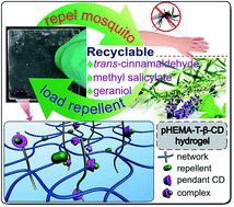 Graphical abstract: pHEMA hydrogels with pendant triazinyl-β-cyclodextrin as an efficient and recyclable reservoir for loading and release of plant-based mosquito repellents: a new aqueous mosquito repellent formulation