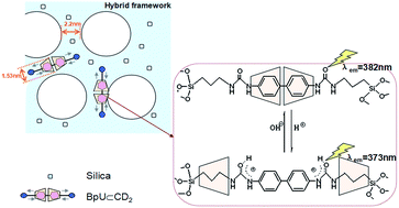 Graphical abstract: A pH-driven molecular shuttle based on rotaxane-bridged periodic mesoporous organosilicas with responsive release of guests