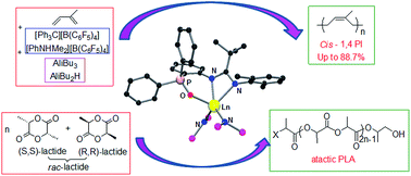 Graphical abstract: Bis(amido) rare-earth complexes coordinated by tridentate amidinate ligand: synthesis, structure and catalytic activity in the polymerization of isoprene and rac-lactide