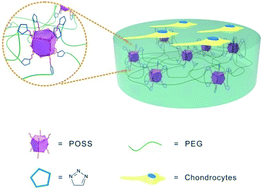 Graphical abstract: Synthesis, characterization and chondrocyte culture of polyhedral oligomeric silsesquioxane (POSS)-containing hybrid hydrogels