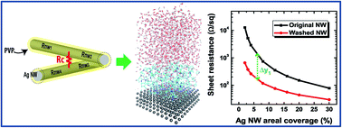 Graphical abstract: Influence of polyvinylpyrrolidone (PVP) capping layer on silver nanowire networks: theoretical and experimental studies