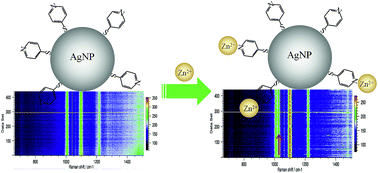 Graphical abstract: Highly uniform indicator-mediated SERS sensor platform for the detection of Zn2+