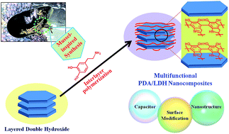 Graphical abstract: Bioinspired polydopamine-layered double hydroxide nanocomposites: controlled synthesis and multifunctional performance