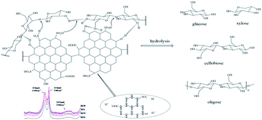 Graphical abstract: Effective saccharification of holocellulose over multifunctional sulfonated char with fused ring structures under microwave irradiation