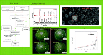 Graphical abstract: Synergistic antibacterial activity of barium doped TiO2 nanoclusters synthesized by microwave processing