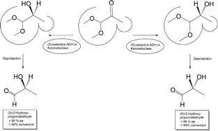 Graphical abstract: Highly efficient and scalable chemoenzymatic syntheses of (R)- and (S)-lactaldehydes