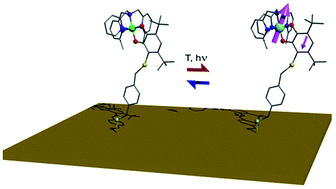 Graphical abstract: Thermal and optical control of electronic states in a single layer of switchable paramagnetic molecules