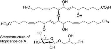 Graphical abstract: Structure elucidation of nigricanoside A through enantioselective total synthesis