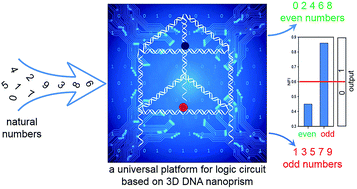 Graphical abstract: A universal platform for building molecular logic circuits based on a reconfigurable three-dimensional DNA nanostructure
