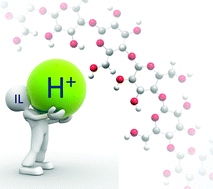 Graphical abstract: Beyond a solvent: the roles of 1-butyl-3-methylimidazolium chloride in the acid-catalysis for cellulose depolymerisation