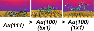 Graphical abstract: Facet selectivity in gold binding peptides: exploiting interfacial water structure