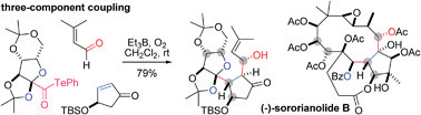 Graphical abstract: Et3B-mediated two- and three-component coupling reactions via radical decarbonylation of α-alkoxyacyl tellurides: single-step construction of densely oxygenated carboskeletons