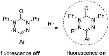 Graphical abstract: Profluorescent verdazyl radicals – synthesis and characterization