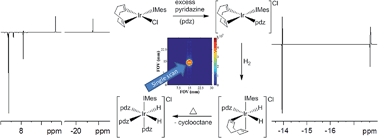 Graphical abstract: Investigating pyridazine and phthalazine exchange in a series of iridium complexes in order to define their role in the catalytic transfer of magnetisation from para-hydrogen