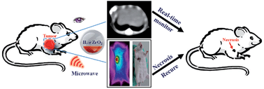 Graphical abstract: A smart all-in-one theranostic platform for CT imaging guided tumor microwave thermotherapy based on IL@ZrO2 nanoparticles