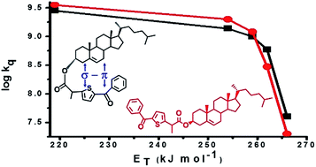 Graphical abstract: Steric shielding vs. σ–π orbital interactions in triplet–triplet energy transfer