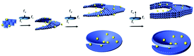 Graphical abstract: Edge overgrowth of spiral bimetallic hydroxides ultrathin-nanosheets for water oxidation