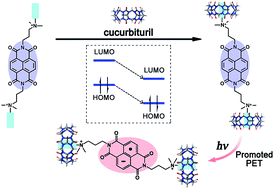 Graphical abstract: A supramolecular strategy for tuning the energy level of naphthalenediimide: Promoted formation of radical anions with extraordinary stability