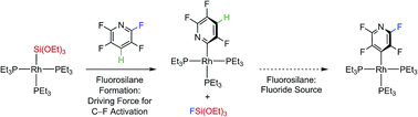 Graphical abstract: Consecutive C–F bond activation and C–F bond formation of heteroaromatics at rhodium: the peculiar role of FSi(OEt)3